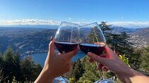 Exclusive wine tasting in Brunate