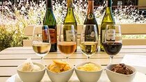 Full Day Wine Tasting Tour in Stellenbosch, Franschhoek and Paarl