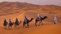 Private Camel Ride Over Erg Chebbi For Sunset Or Sunrise