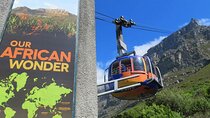 Table Mountain and Guided City Sightseeing Day Tour in Cape Town 