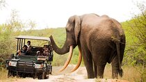 Kruger National Park Wild Safari Adventure 3days 2night