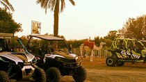  Desert Thrills: Quad Biking Adventures in Palmeraie Marrakech