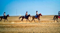 3 Hours Horse Riding in Hurghada