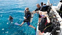 8 Hours Snorkeling with Lunch and Transfer in Sharm El-Sheikh