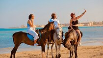 1-Hour Horse Ride Adventure in Sharm El-Sheikh