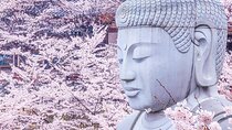 Cherry Blossom Buddha and Mt.Yoshino with Strawberry Picking Tour