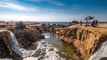 Tour to Whale Valley & Wadi El Rayan Waterfalls from Cairo