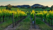 Full-Day Private Sonoma Valley Wine Tour from San Francisco