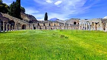 Pompeii private tour from Naples.Best choice for cruise passengers