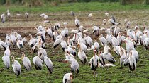 2 Days Tarangire-Lake Manyara NP From Arusha