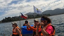 Penguins Watching - Navigation Cachagua Island & Lunch From STGO