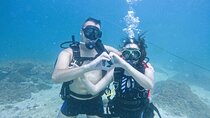 Try Scuba Diving & snorkeling with BBQ lunch & Transfer