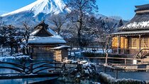 Full Day Private Tour in Mt. Fuji and Hakone
