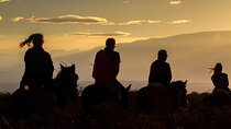 Mendocino Sunset: Horseback Riding, Nature and Creole Flavors