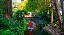Paddleboard the scenic Winter Park Chain of Lakes