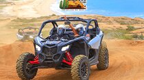 Beach & Desert Premium X3 UTV Tour in Cabo by Cactus Tours Park