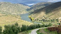 Douro Valley Private Tour and Wine Experience