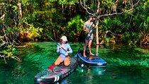 Rainbow Springs Paddle Board & Kayak Adventure