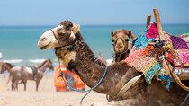 Private 3 days Marrakesh to Desert & Atlas Mountains & Essaouira