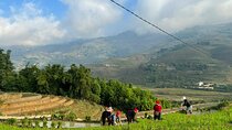 From Ha Noi: 3 Days and 2 Nights Sapa Trek with Local Guide