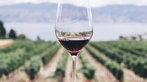 Kefalonia Wine Adventure in 3 Wineries With Tastings