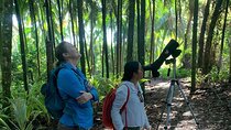 Nature and Bird Watching at Marino Ballena National Park