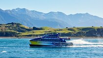 Kaikoura Whale Watch Day Tour from Christchurch