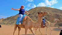 Hurghada: Full Day Jeep, Quad Bike, Buggy and Bedouin Dinner