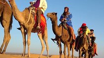 Marrakech: 2 Days tour to Sahara Zagora Desert & Ait-BenHaddou