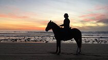 Horse Ride on the Beach From Awrir or Tamraght