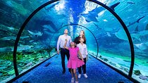 The National Aquarium Abu Dhabi