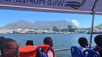 30 Minute Harbour Cruise in Cape town