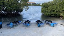 Clear Kayak Eco Tour in Jupiter, Florida