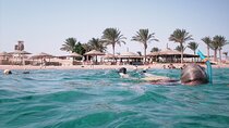 Snorkeling with Turtles in Sharm El Naga Full Day from Hurghada