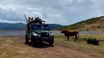 Full day West Adventure Jeep Tour in Madeira Portugal