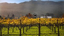 Full-Day Private Amador County Wine Tour from San Francisco