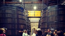 2 wineries tasting & quaint villages 6 hours wine tour in Madrid