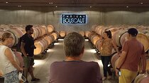 Bordeaux wine tour: 2 wineries (red & white wine)