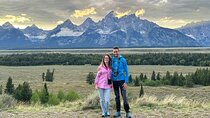 Yellowstone & Grand Teton Nat'l Parks Day Tour - Private Tour