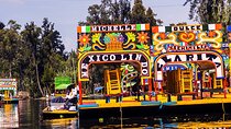 Mexico City: Xochimilco, Coyoacán and University City Tour 