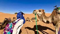 8 Days Trekking in the Moroccan Desert from Marrakech