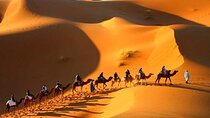 Merzouga Desert 3-Day Guided Tour from Marrakech