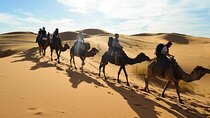Guided 2-Day Tour to Zagora from Marrakech