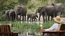 Hluhluwe Imfolozi Game Reserve Full Day safari from Durban