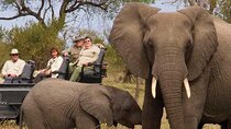 3-Day Safari Tour Hluhluwe and iSimangaliso Wetland Park