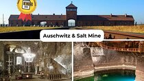 Krakow to Auschwitz Birkenau and Salt Mine 1 Day Tour 