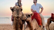 Tangier Package: Camel Ride, Cap Spartel, Hercules Caves & Dining