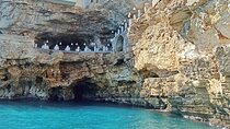 From Bari: Visit Polignano a Mare with street food tour