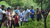 Walking Tour of Maharashatra Nature Park