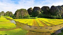 Ninh Binh Small Group Day Trip from Hanoi